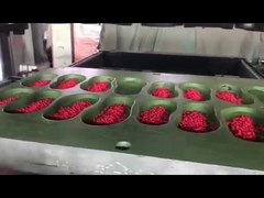 مواد EVA با کیفیت بالا تولید کفش گلوله ای رنگارنگ